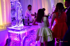 bar-lodowy-na-wesele (31)