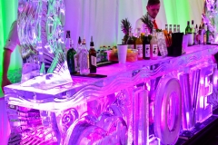 bar-lodowy-na-wesele (32)