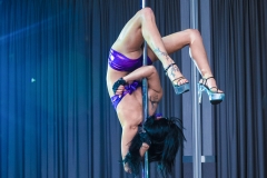pokaz-pole-dance-impreza-elitemusic (7)