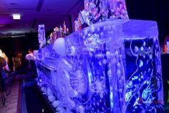Bar lodowy na event kosmiczny