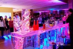 bar-lodowy-na-imprezy-16