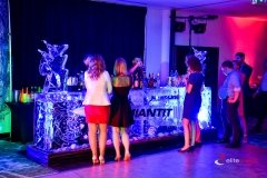 Bar lodowy na imprezy
