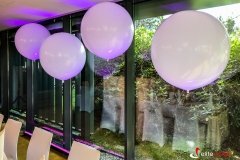 Dekoracje-balonowe-na-wesele-elite-music (5)