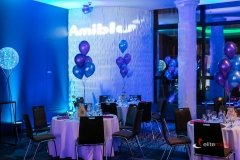 dekoracje-balonowe-elite-music (7)