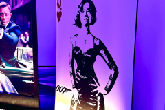 James-Bond-Casino-Elite-Music-Hotel-Narvil-15