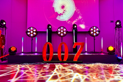 James-Bond-Casino-Elite-Music-Hotel-Narvil-18
