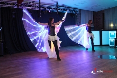 Wachlarze ledowe w trakcie pokazu lightshow