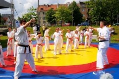Pokaz sztuki walki lokalnej szkółki kung-fu