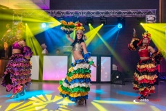 Grupa Samby brazylijskiej