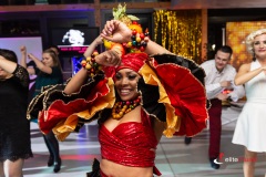 Grupa Samby brazylijskiej