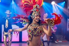 Grupa Samby brazylijskiej