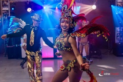 Grupa Samby brazylijskiej