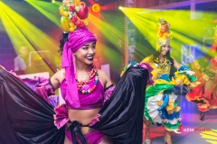 Grupa Samby brazylijskiej