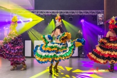 Grupa Samby brazylijskiej