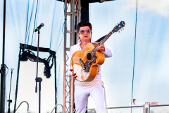 Elvis Tribute Show