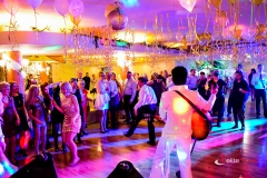 Polski Elvis Show