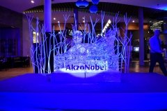 Rzeźba lodowa dla firmy Akzo Nobel