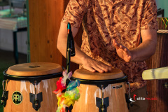 Latino Party