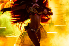 Latino Party
