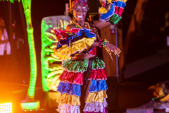 Latino Party