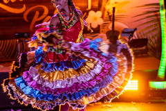 Latino Party