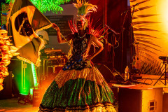 Latino Party