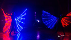 pokaz lightshow