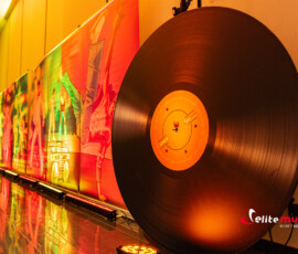 Disco Boogie Night