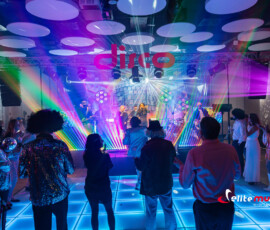 Disco Boogie Night