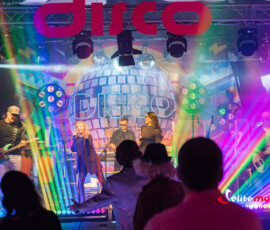 Disco Boogie Night