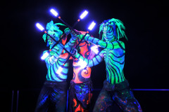 20-lightshow-staffs-led