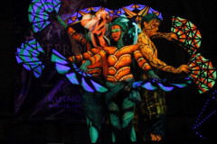 Lightshow-bodypainting-pokaz
