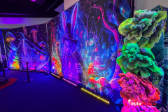 fluo-party-MTP-2025-elite-music-21